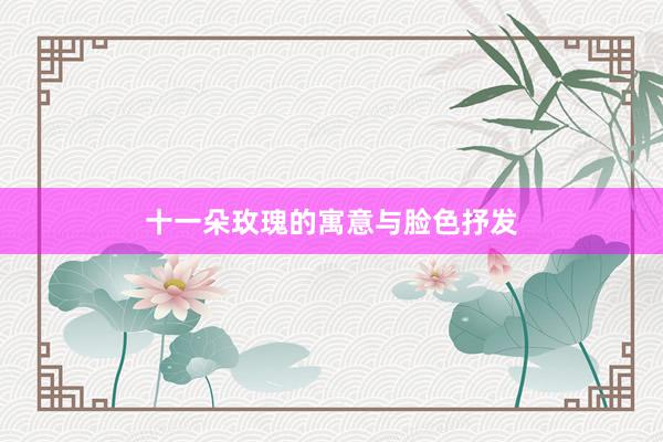 十一朵玫瑰的寓意与脸色抒发
