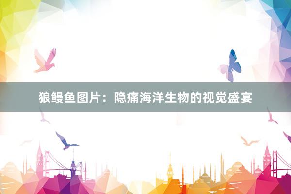 狼鳗鱼图片：隐痛海洋生物的视觉盛宴